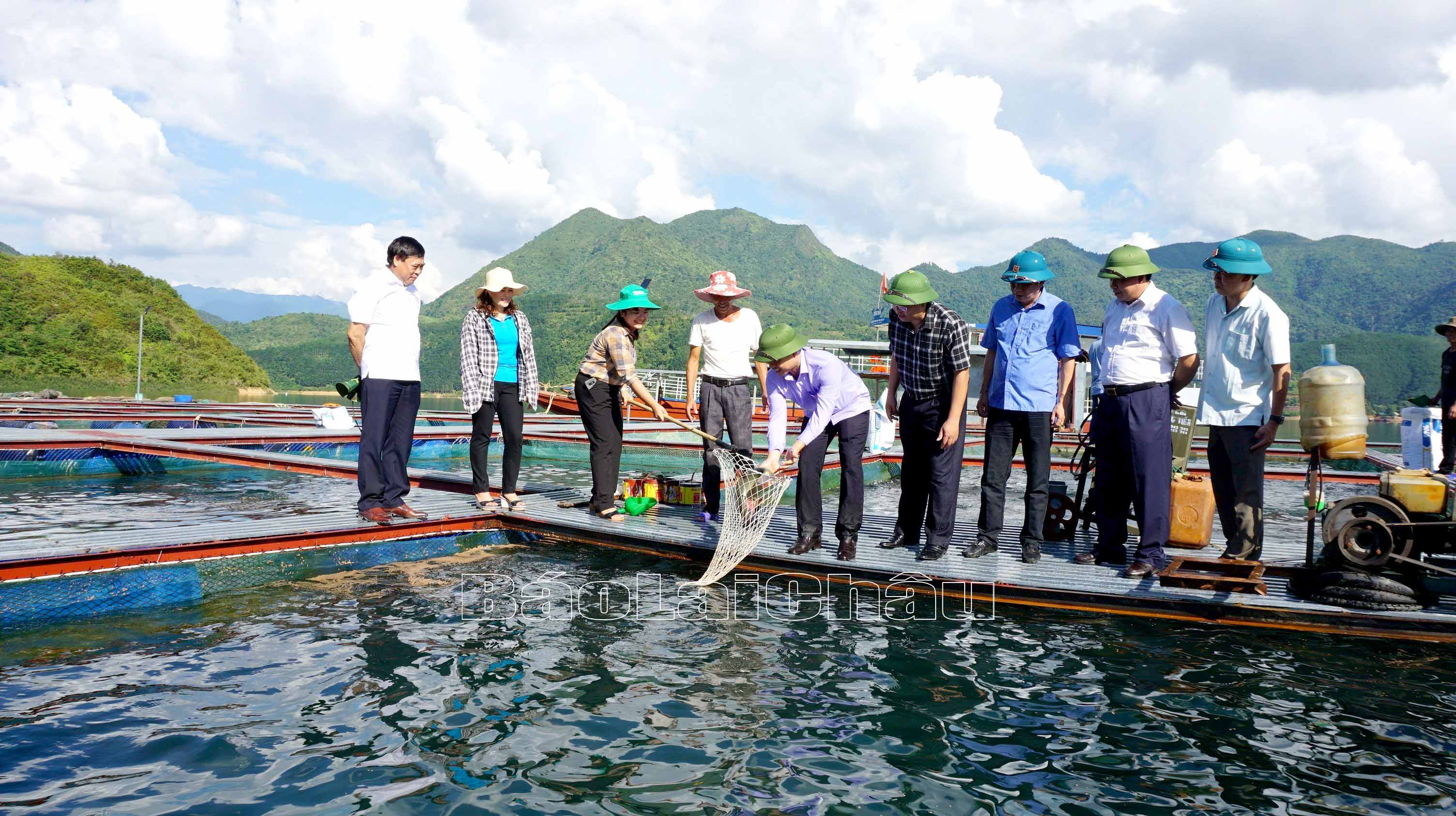 Lãnh đạo tỉnh, huyện Than Uyên thăm mô hình nuôi cá lồng trên lòng hồ thủy điện Bản Chát.